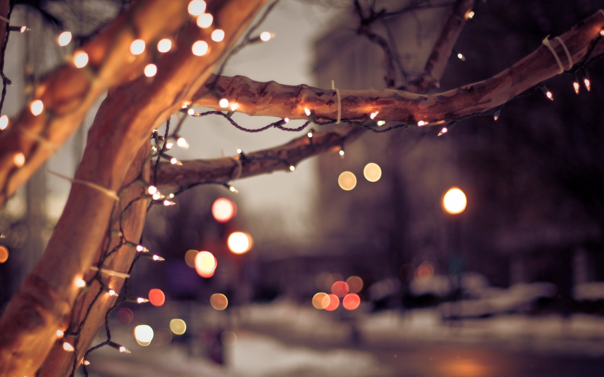 ciudad invierno árbol bombillas navidad estado de ánimo linternas bokeh