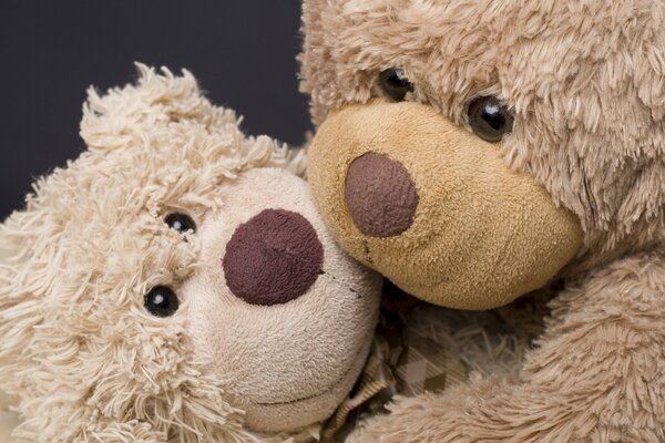 Teddy bears are romantically hugging