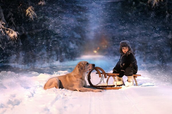 Niño en trineo con perro en la nieve