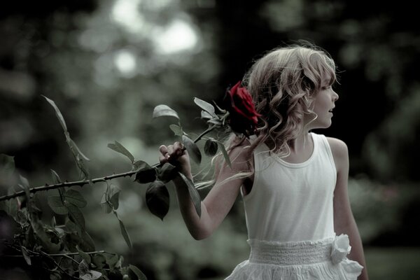 Belle fille en robe blanche avec une longue rose