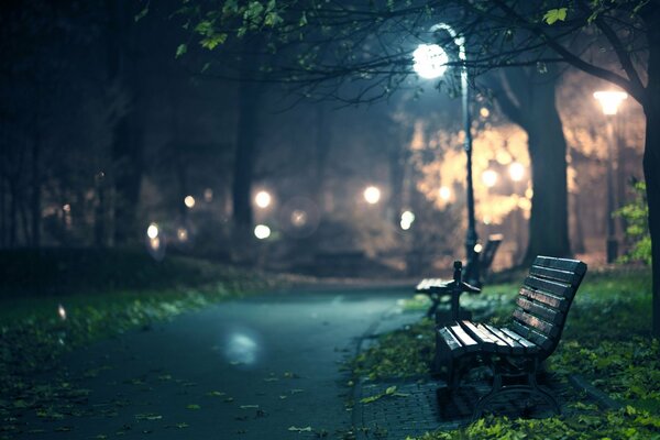 Promenades de minuit à la recherche d inspiration