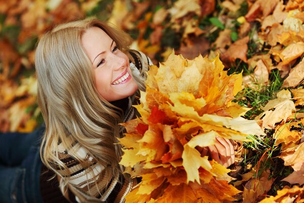 Herbst. Schöne goldene Zeit