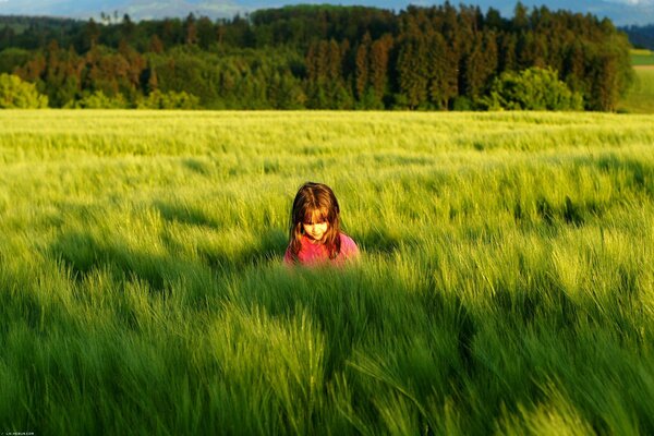 Green mood in the color of meadows