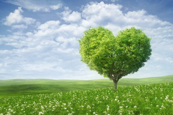 A heart-shaped tree in a green meadow