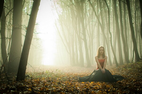 Fog in the autumn forest