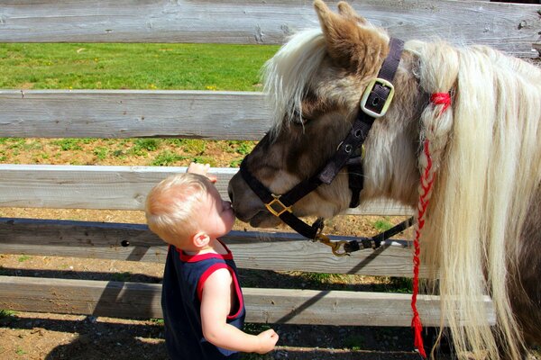 Friendly kiss of a little boy and a pony