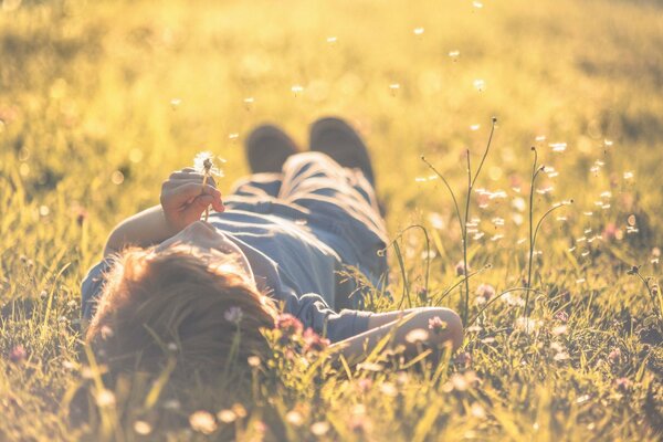 Desktop wallpapers. The boy in the grass