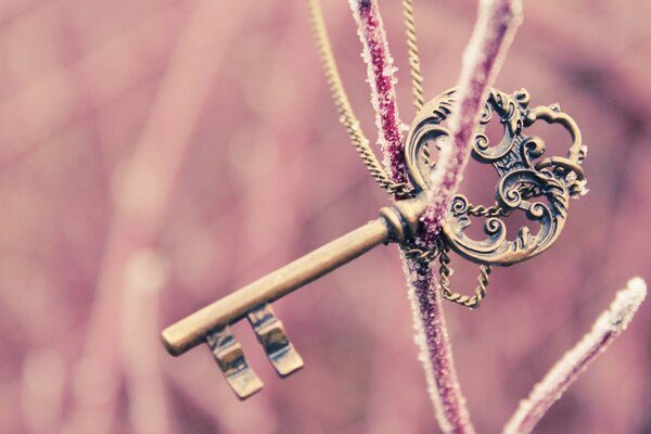 A magic key on a snowy branch