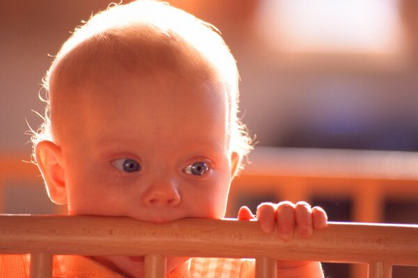 A little boy is sitting in a crib