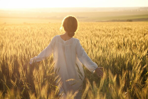 Journée claire dans le champ de blé