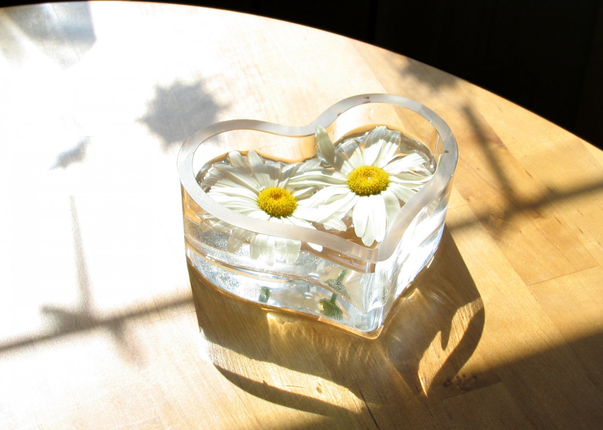 fondo piso parquet florero vidrio forma corazón flores pareja blanco margaritas