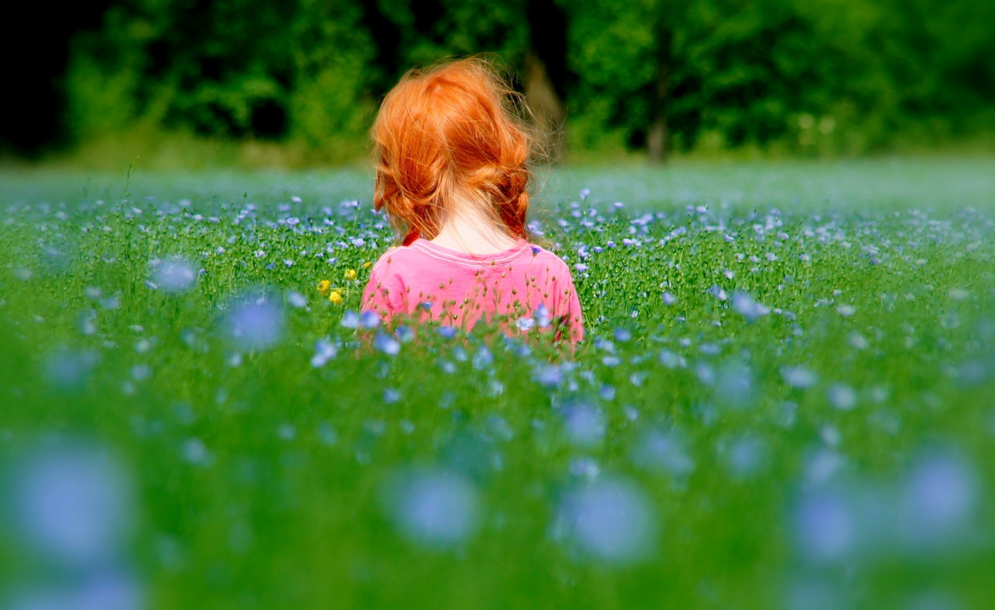 umore ragazza bambini bambino rossa natura erba