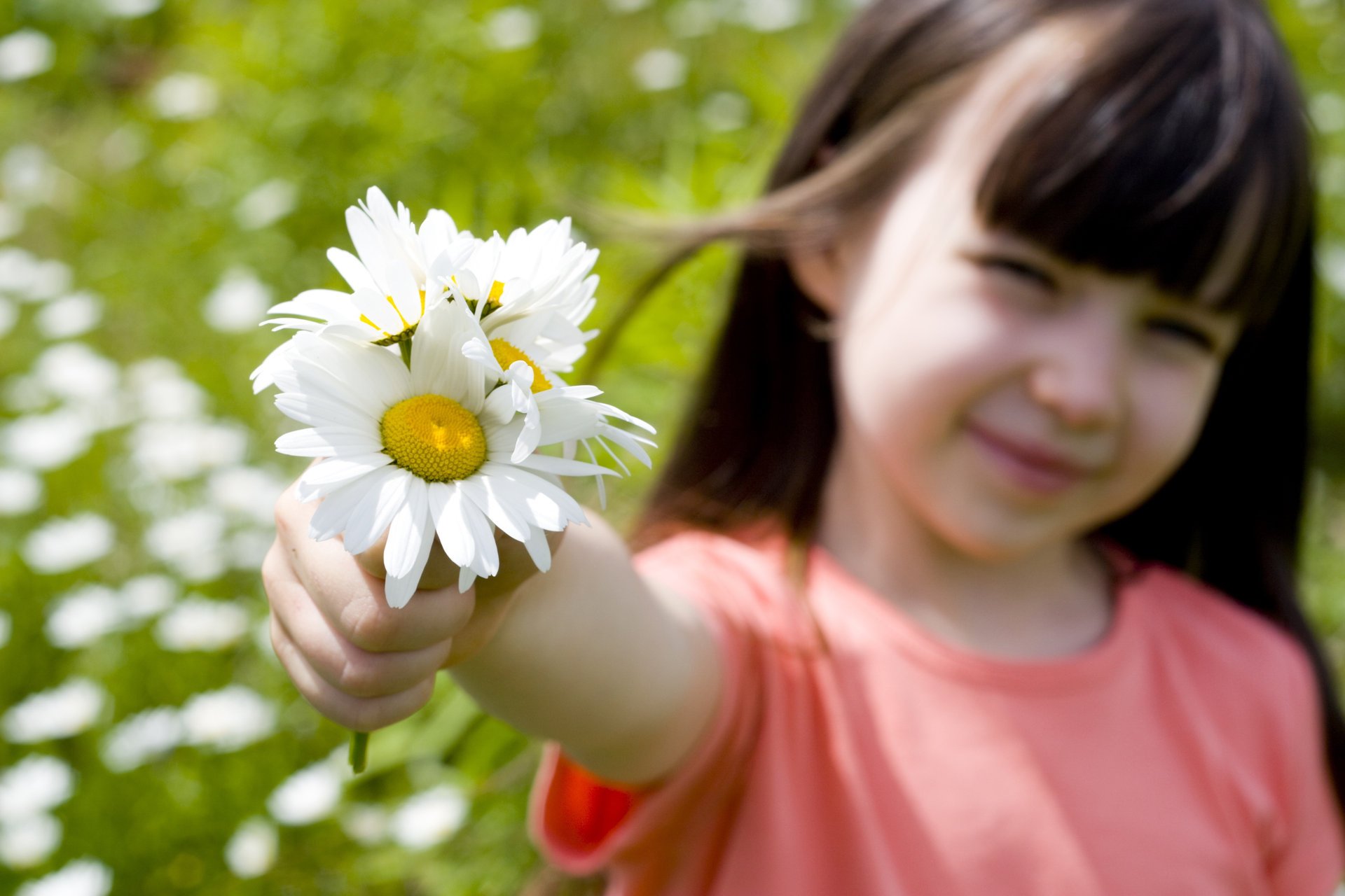 ragazza romantica bambino felicità fiore rosa girasole sorriso ragazza romantica carino bello bambini fiori rose