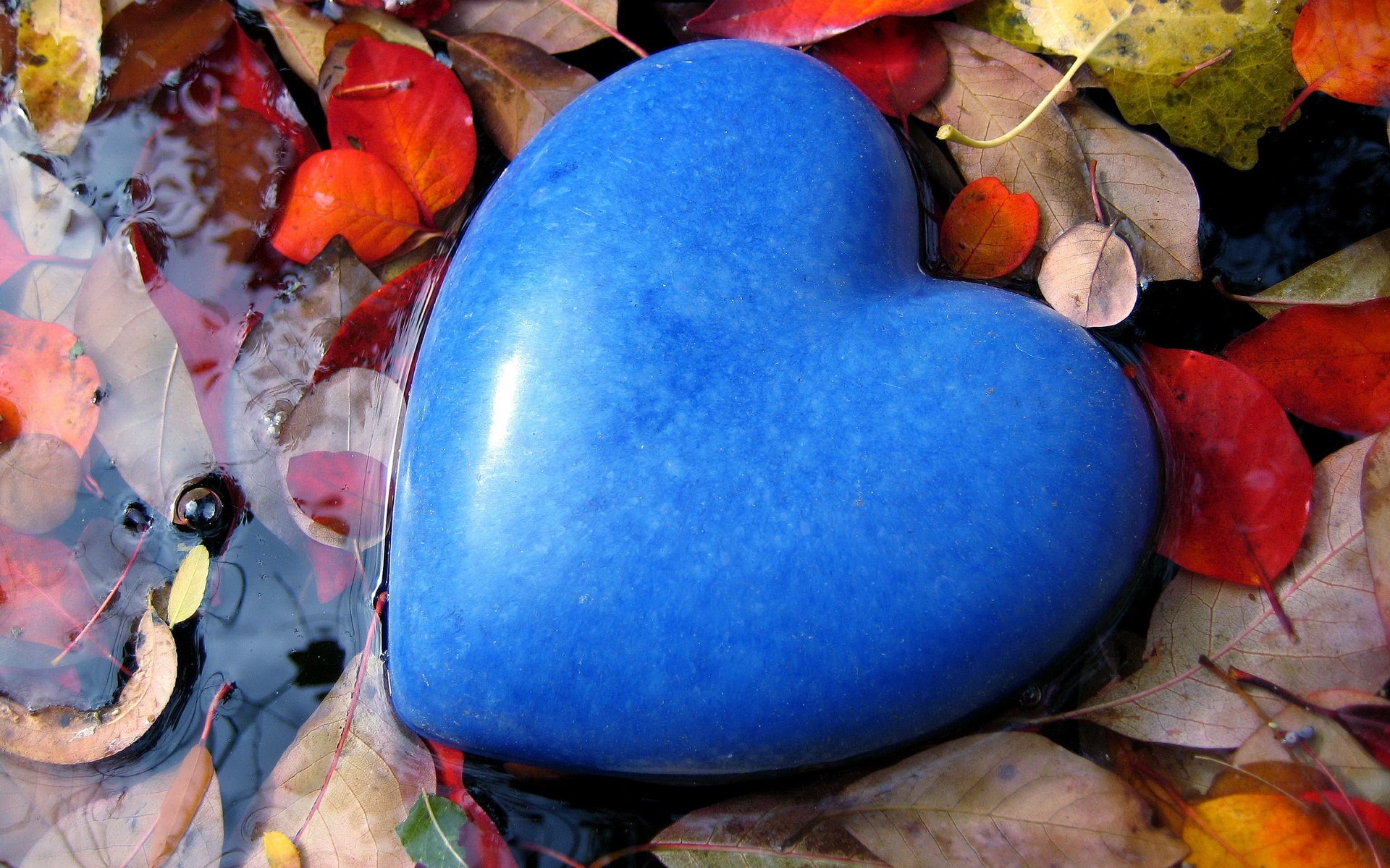 stimmung gefühle liebe stein herz form blau blau farbe pfütze wasser blätter