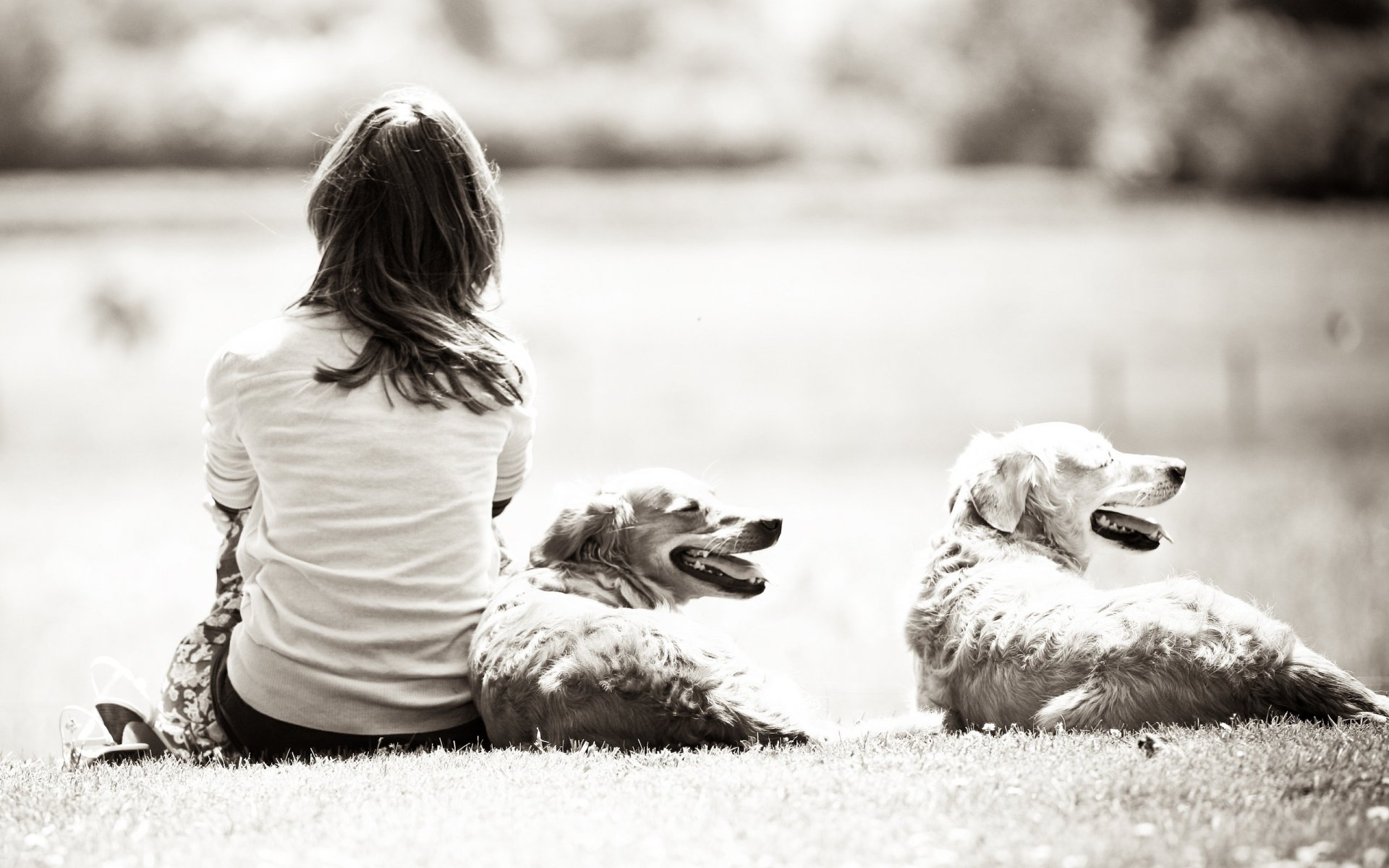 mood ragazza ragazza ragazze bruna cane cani natura erba bianco e nero dal sfondo carta da parati carta da parati widescreen carta da parati 2560 1600