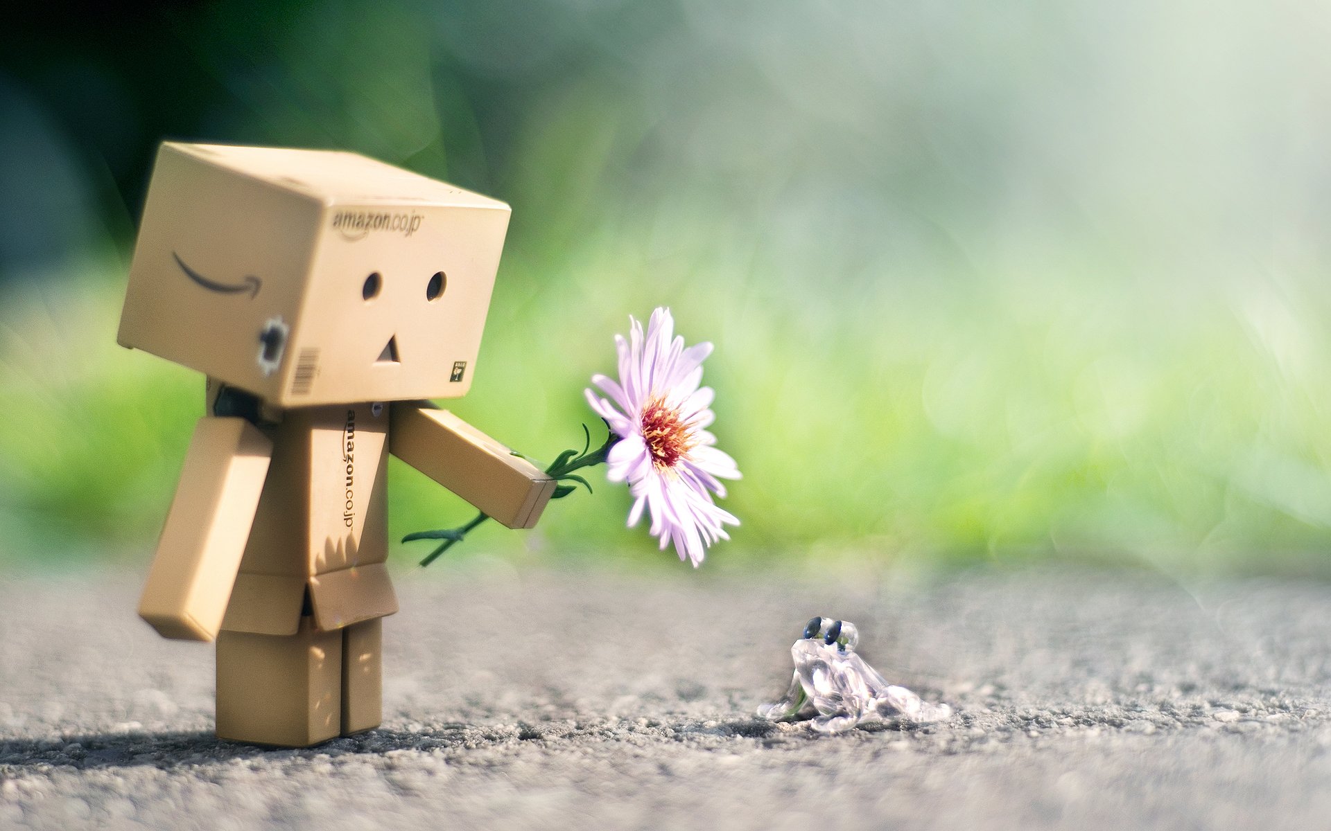 danbo danbo amistad