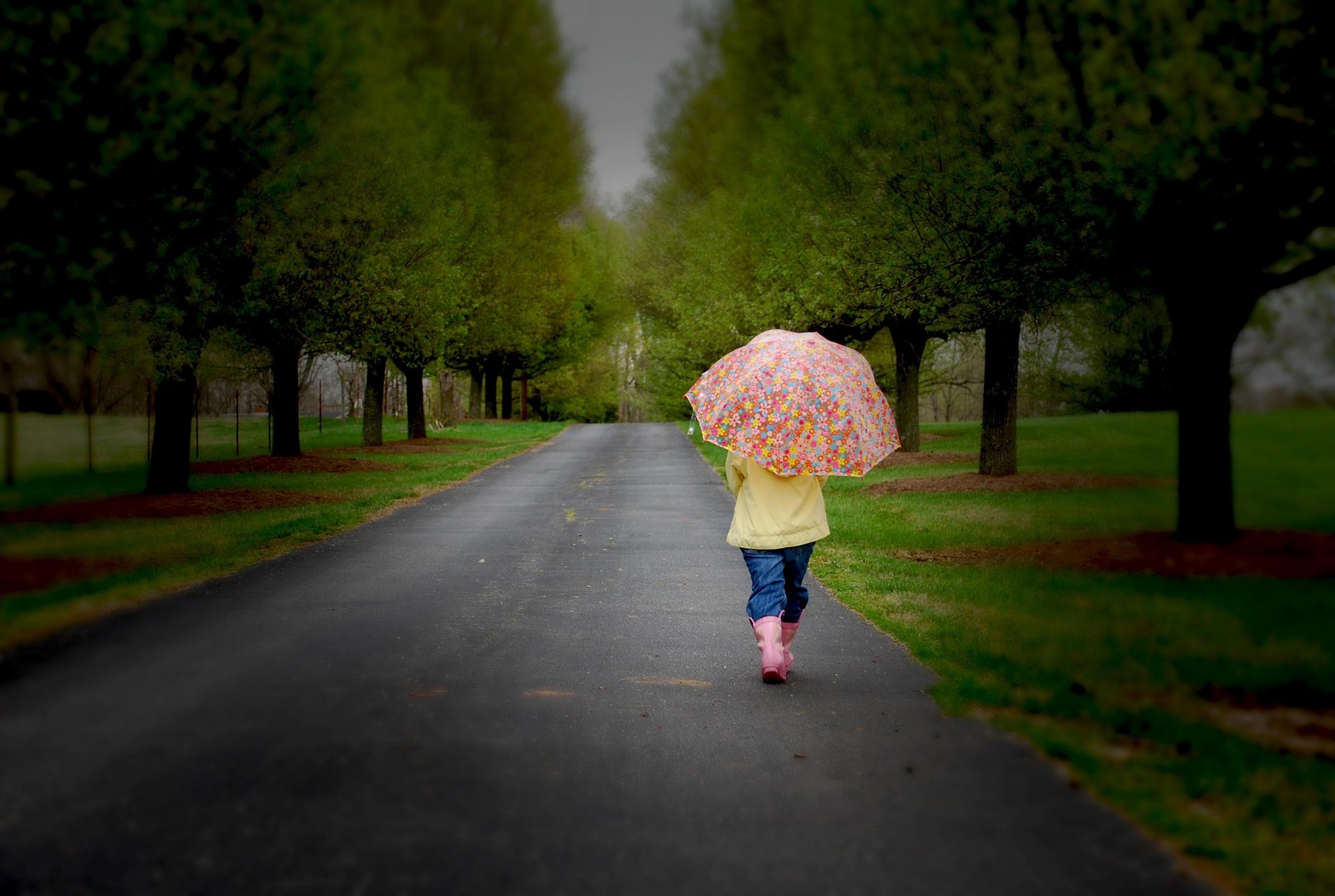 mädchen kindheit regenschirm straße einsam bäume natur traurigkeit kleines mädchen kinder