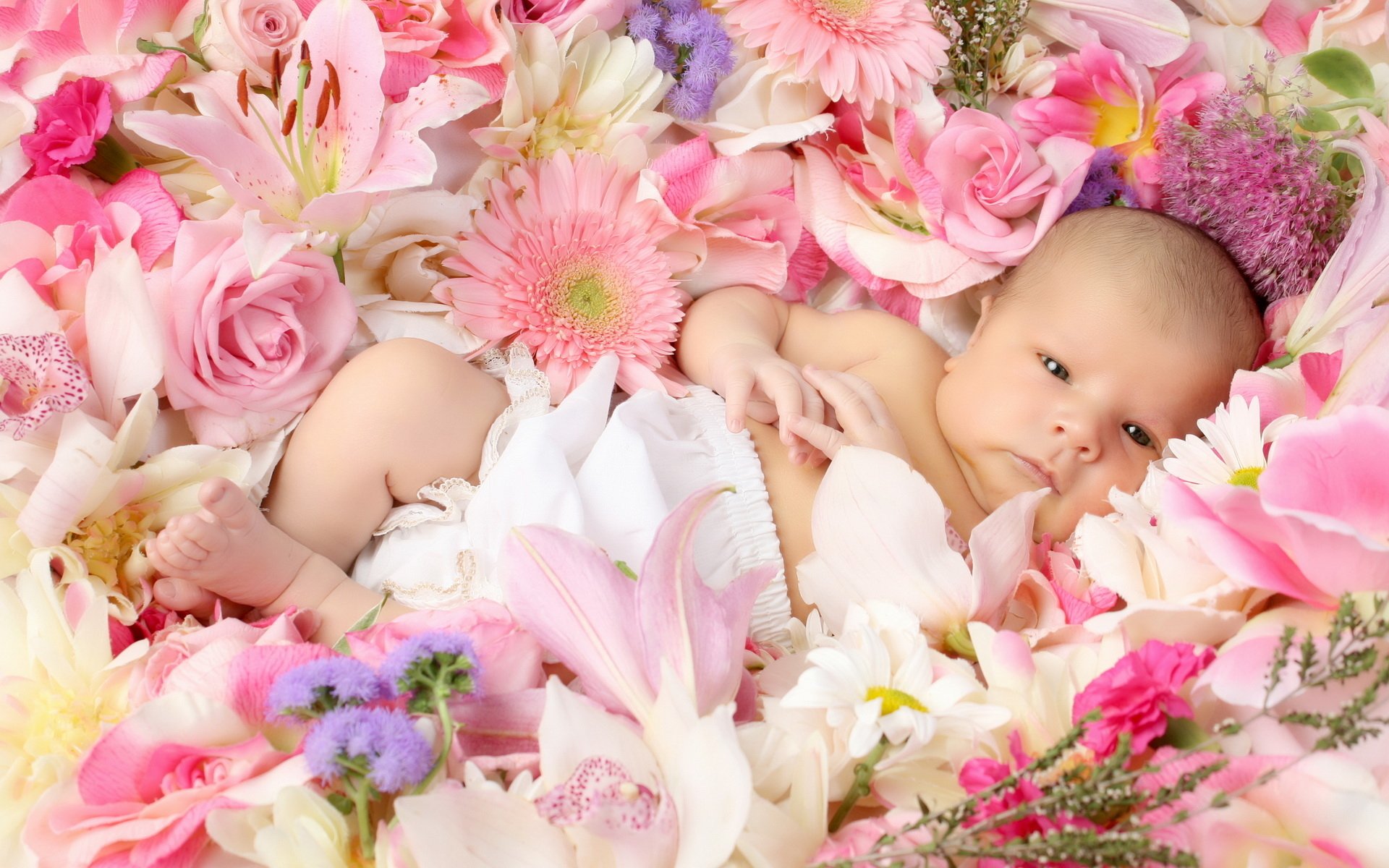 bébé enfants enfant bébé fleurs roses lys gerbera joie couple positif