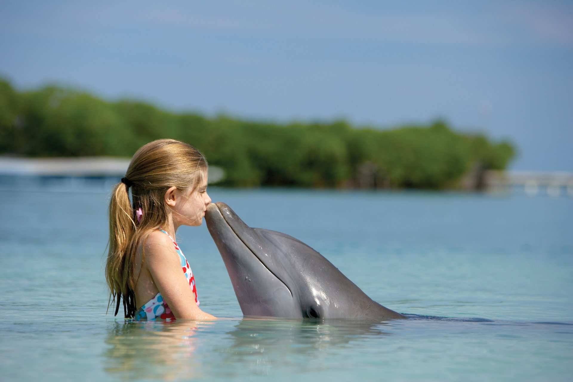 ocean delfin dziewczyna przyjaźń dziecko paradise island bahamy