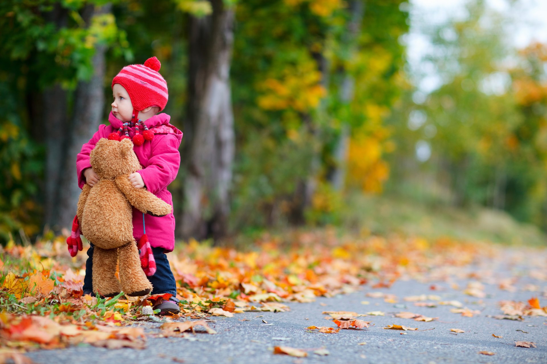 mädchen kind kindheit bäume straße teddybär herbst einsam kleines mädchen kinder teddybär einsam