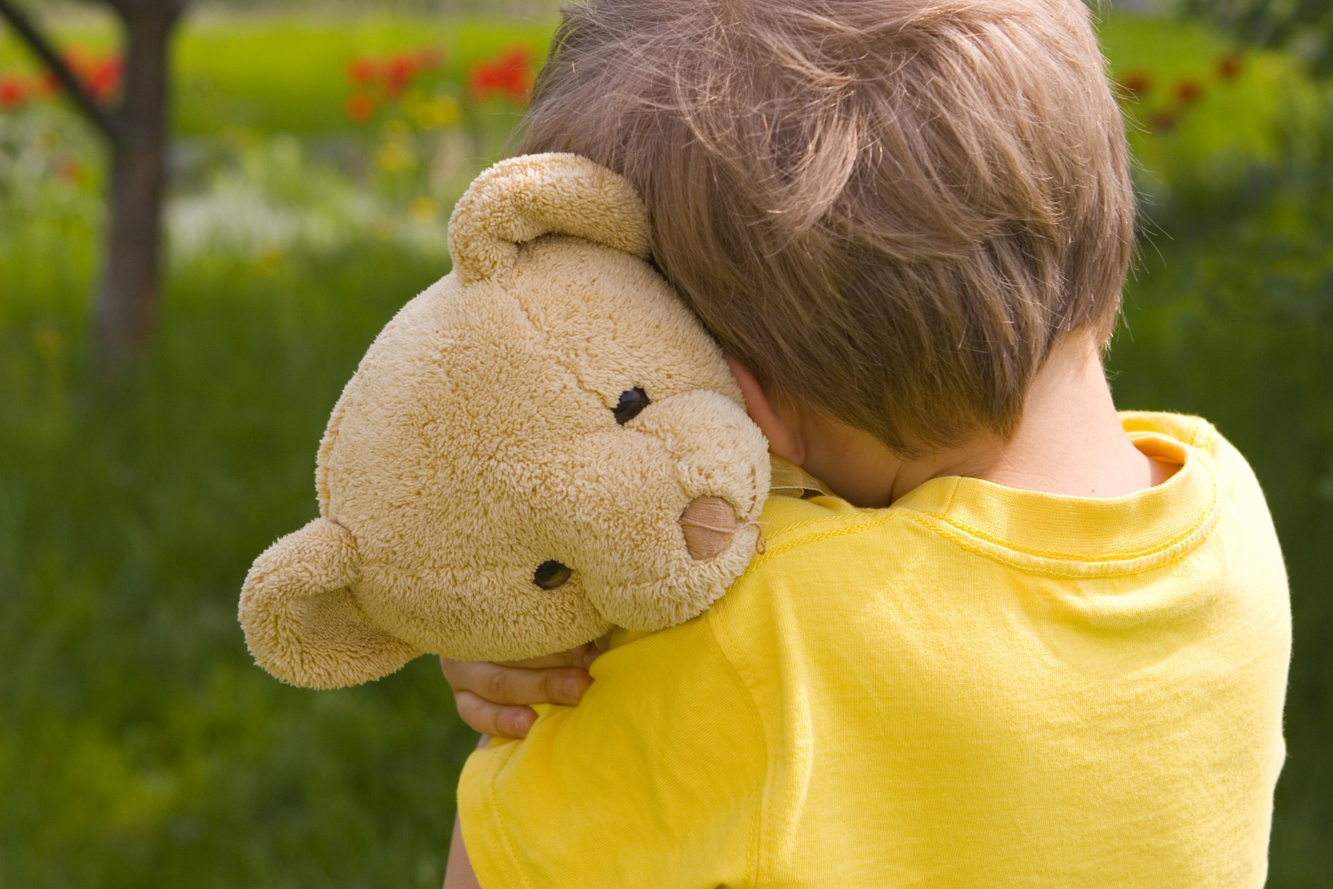 ragazzo giardino tristezza solitario orsacchiotto bambino infanzia ragazzino triste solitudine orsacchiotto bambini