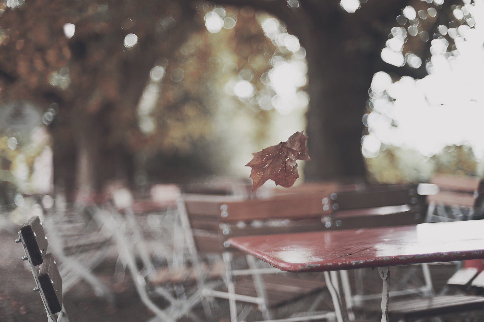 automne parc café tables feuille éblouissement bois