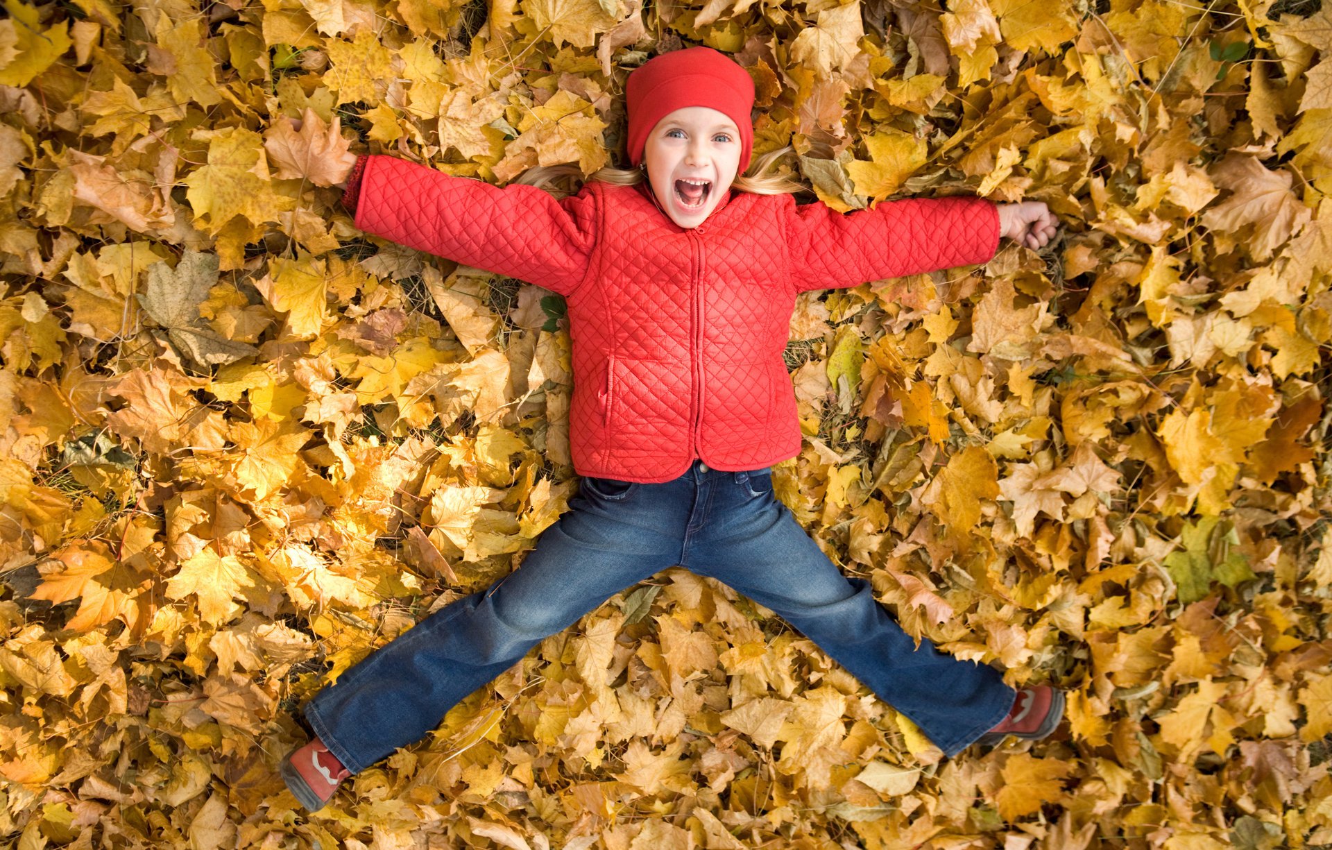 happy girl autumn leaves happiness smiling playing childhood baby happy little girl autumn leaves happiness playing fun kid