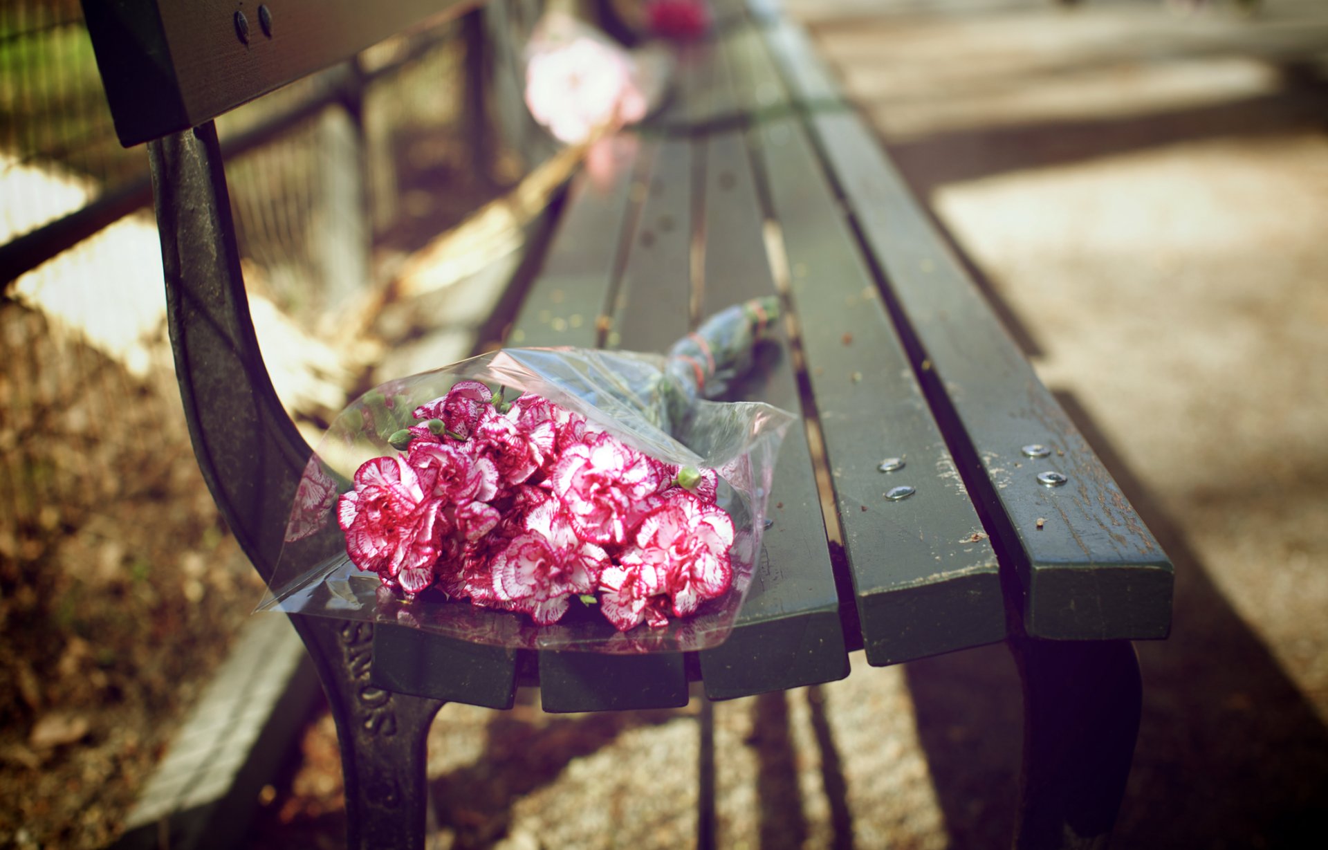 bench a bouquet of flowers happiness bouquets flower petals pink buds flowers park pavement fence bars