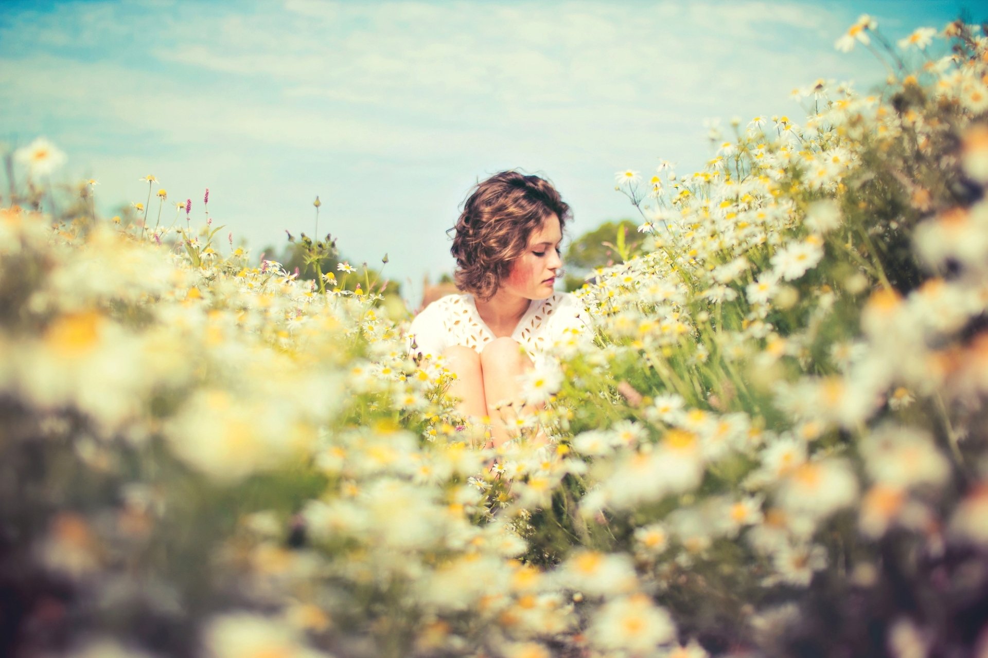 girl the field chamomile summer sun mood