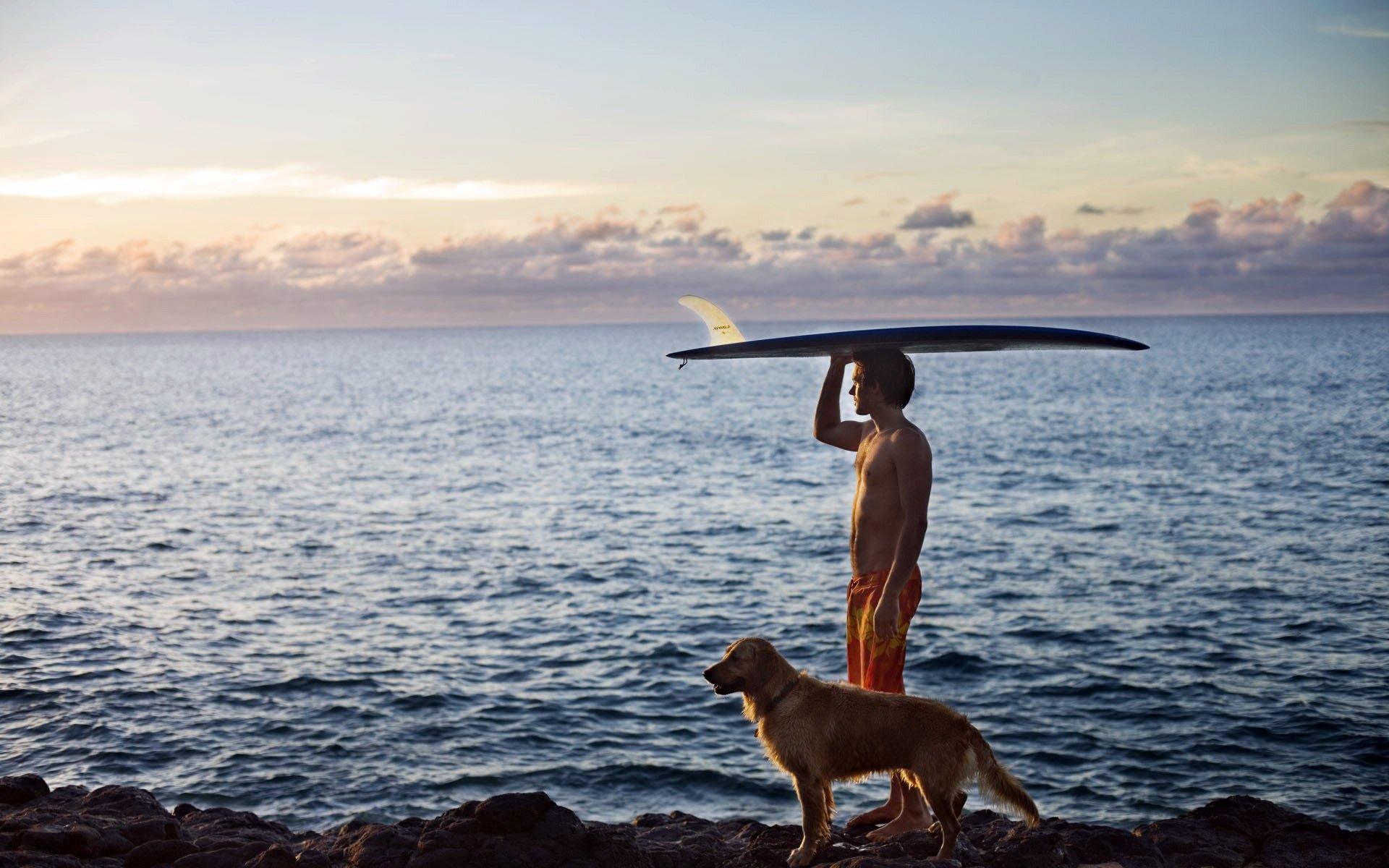 mer océan côte côte chien surf loin horizon ciel nuages sport