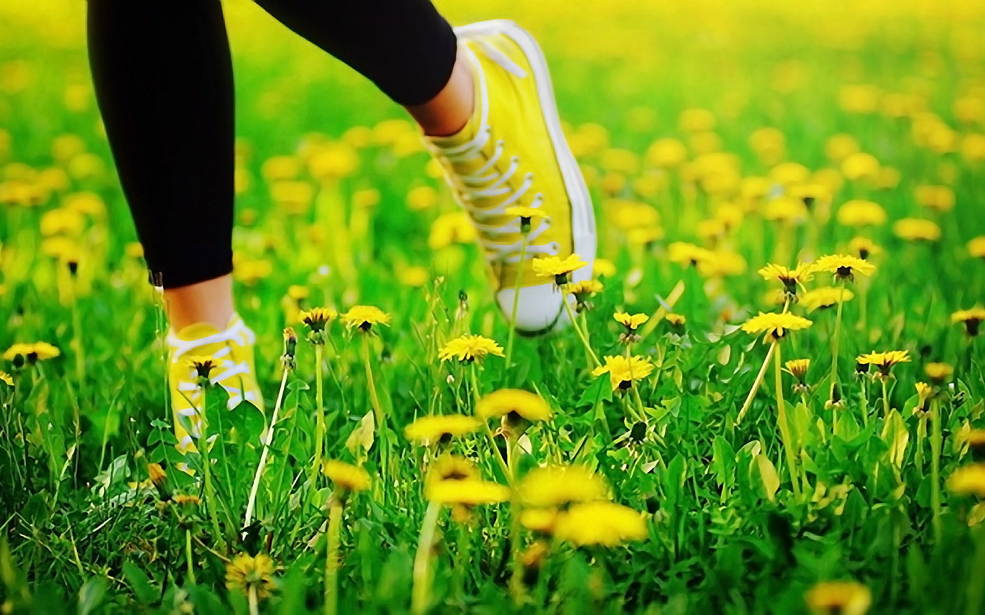 sommer gras löwenzahn beine turnschuhe