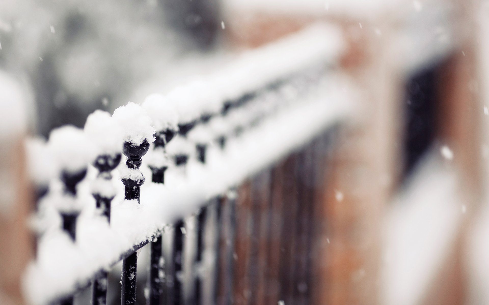 recinzione siepe inverno palla di neve messa a fuoco fiocchi di neve natura