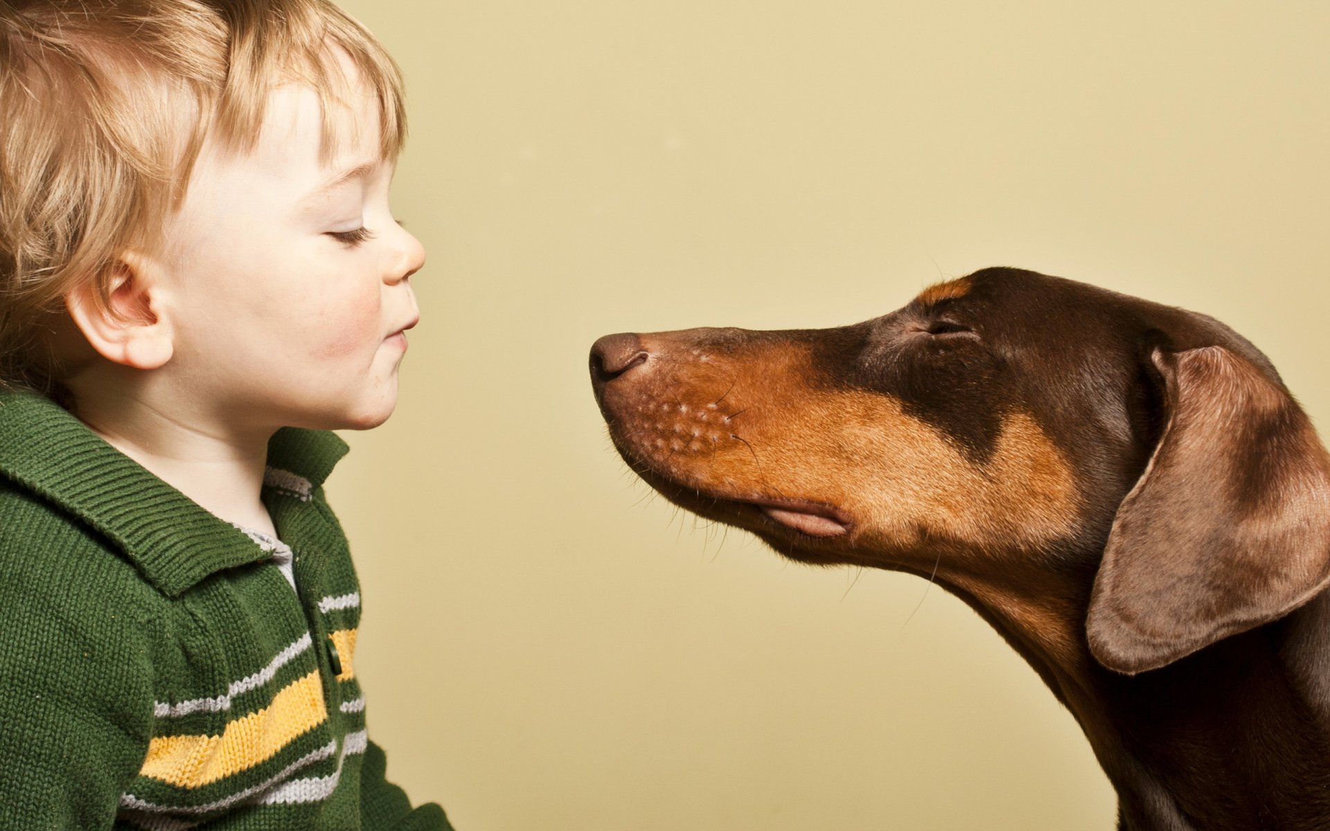 garçon chien amis humeur