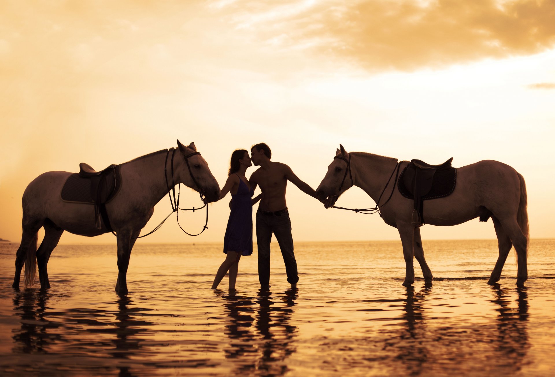 photo romantic love feeling guy girl couple white horses relationship sea sunset