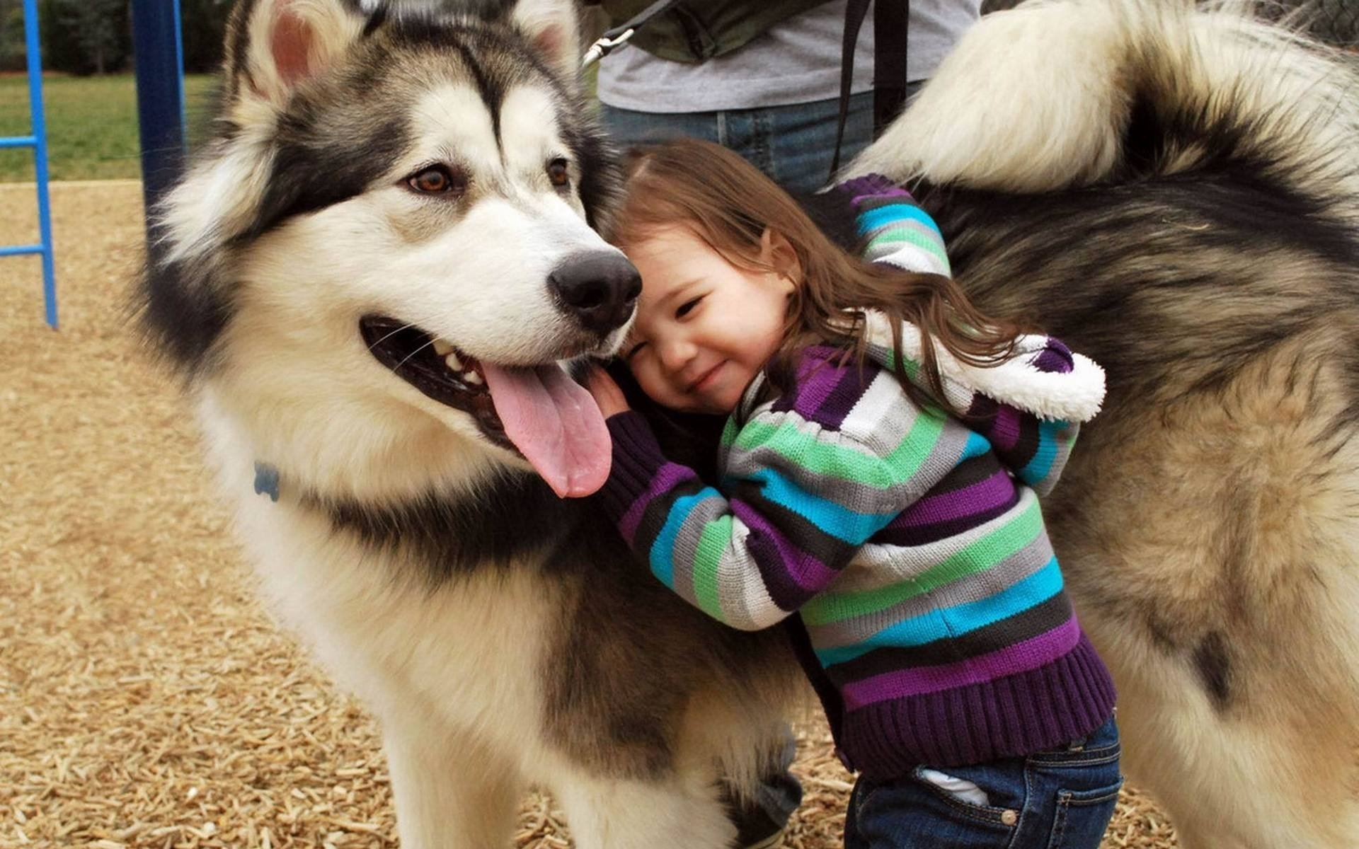 stimmungen kinder mädchen brünette pullover gestreift hund freundschaft freund liebe. lächeln natur