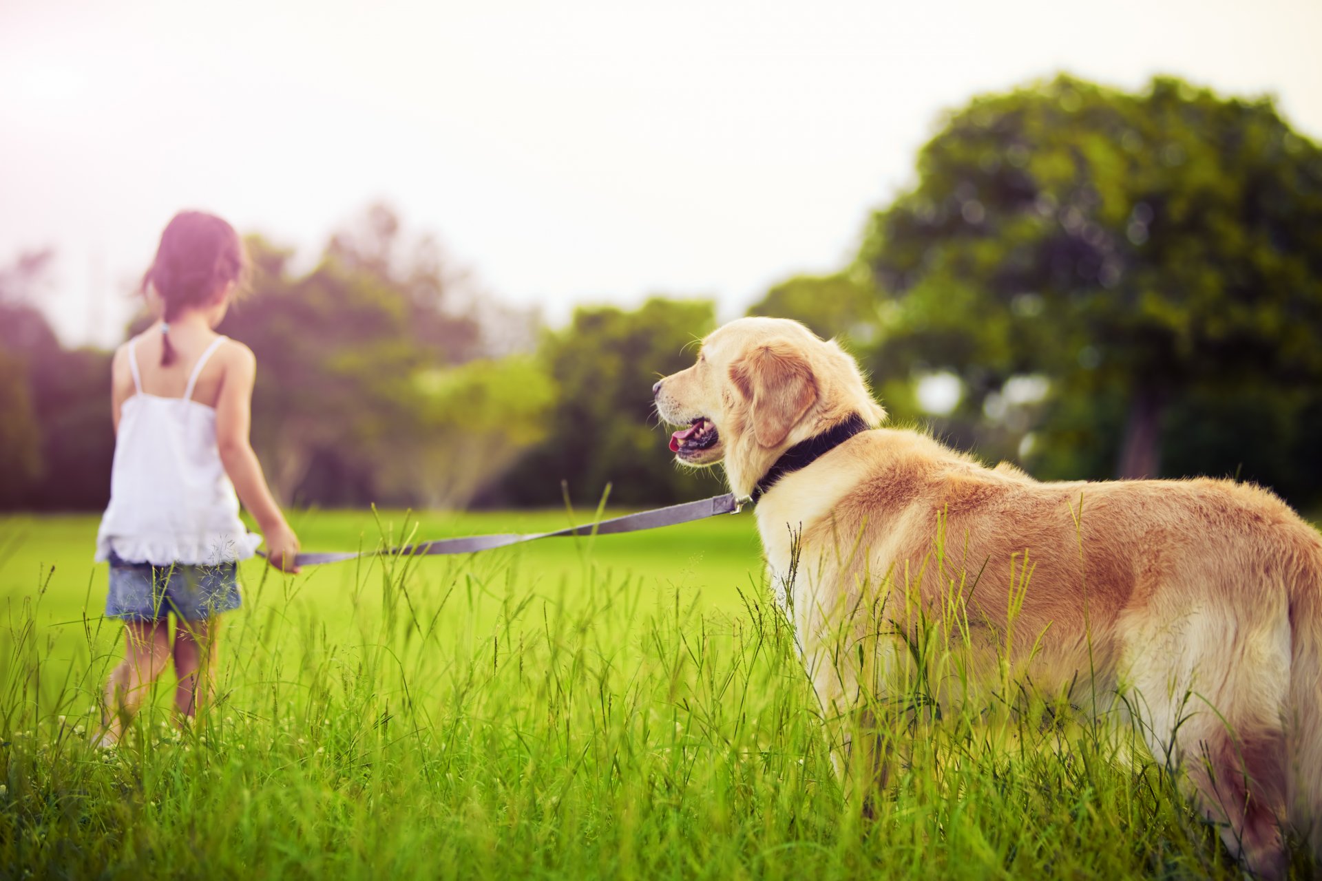 trauriges kleines mädchen traurigkeit hund tier gras bäume ghildre kind kindheit trauriges mädchen hunde haustiere kinder