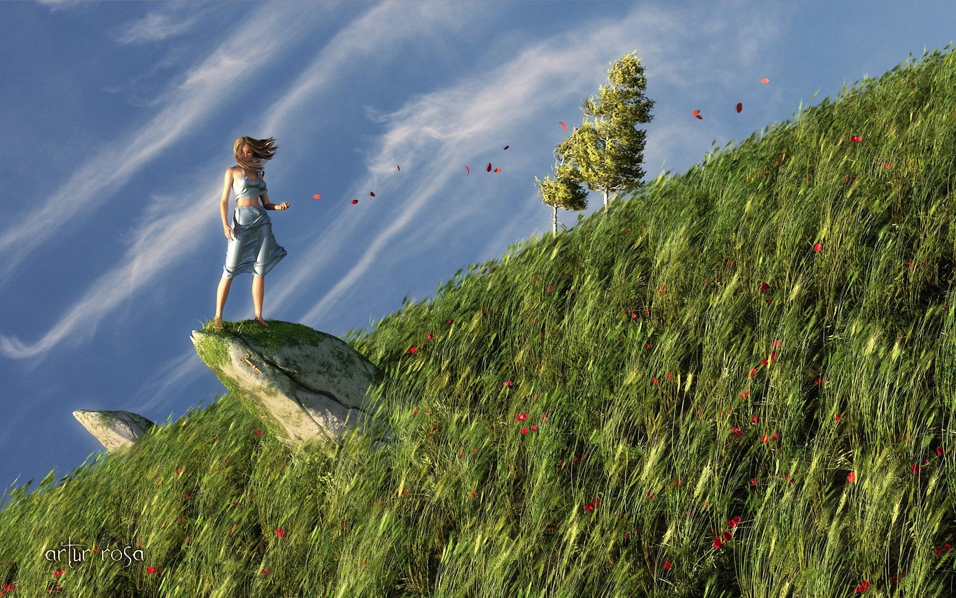 art girl nature rock grass poppies stone slope hill petals wind