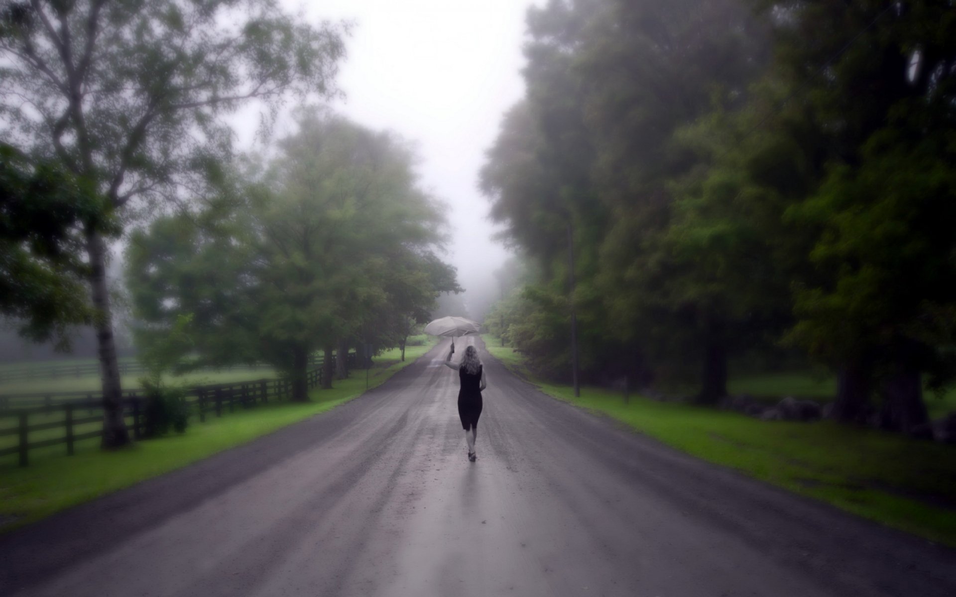 girl road umbrella rain