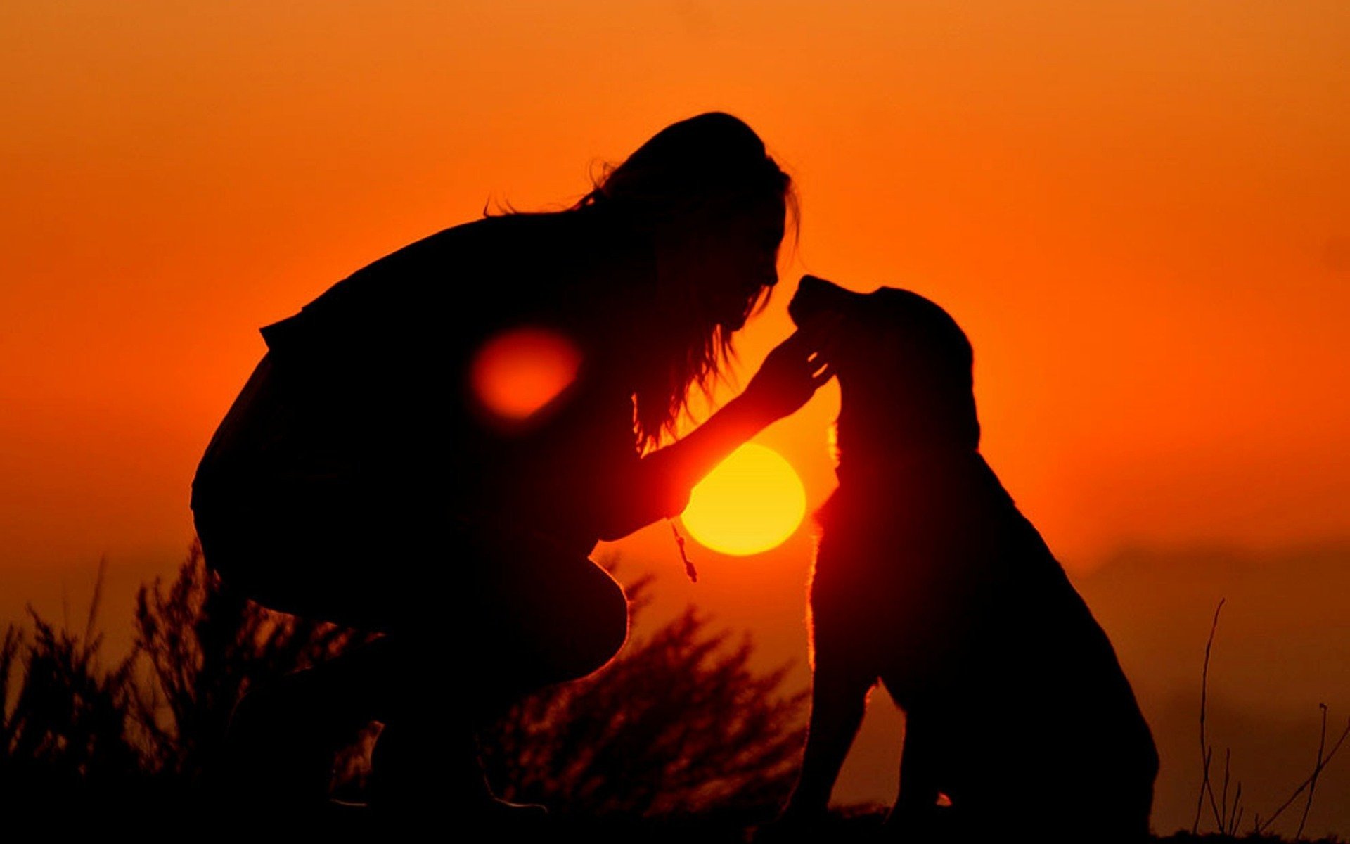 chica perro cielo puesta de sol sol siluetas