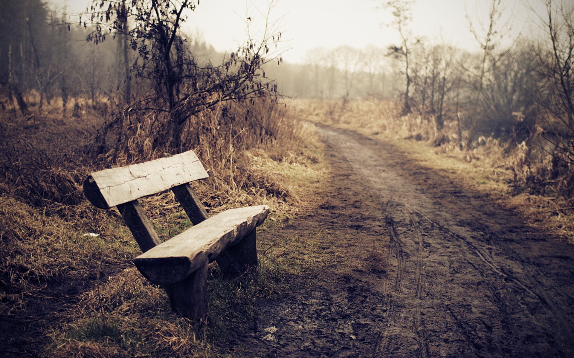 banc brouillard route