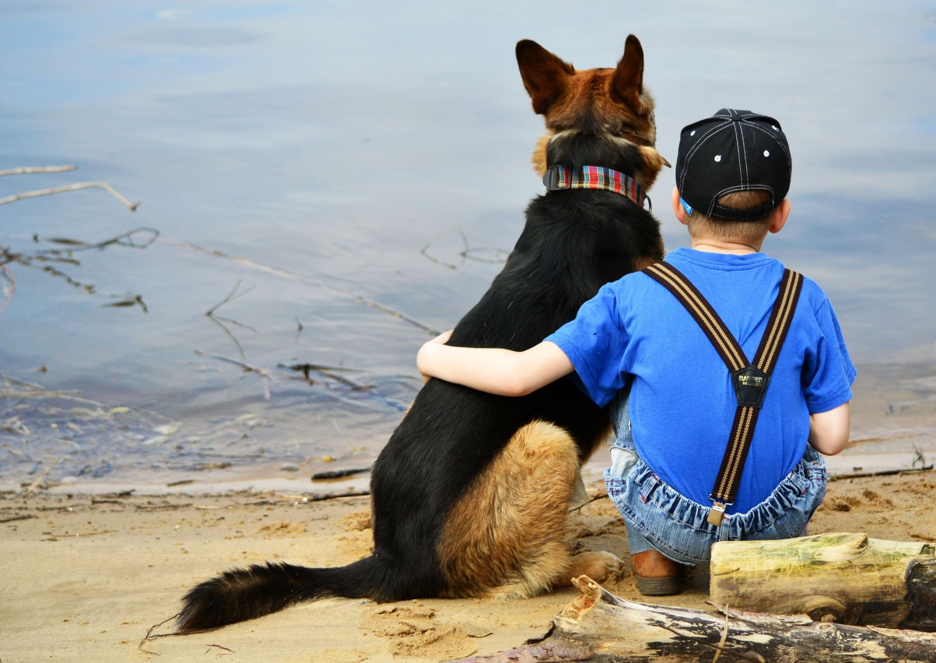 niño perro amigos