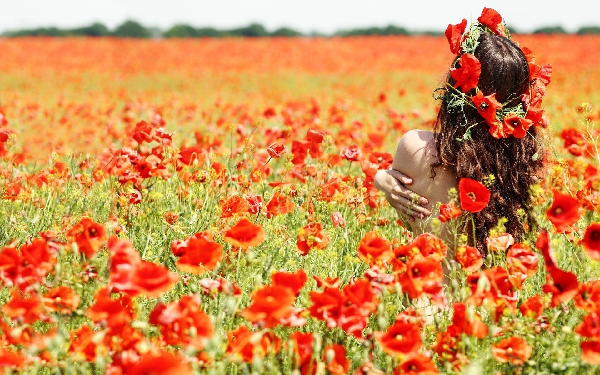 feld mohnblumen mädchen