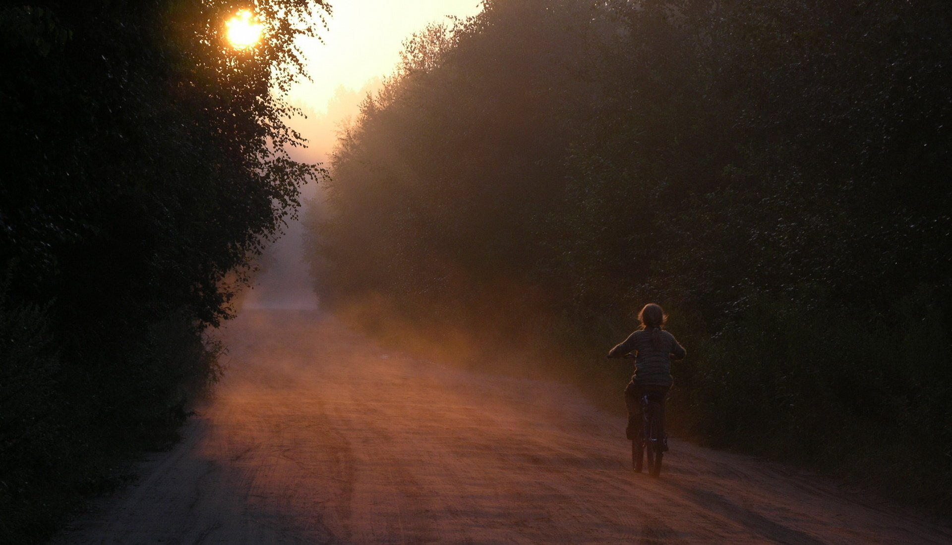 mattina silenzio alba foresta strada ragazza bicicletta