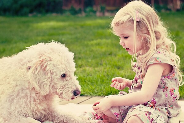 Fille communique avec un chien Shaggy