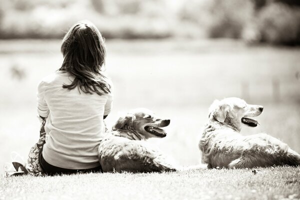 Brunette girl sitting with dogs