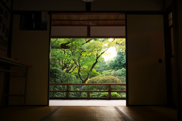 Melitation on the balcony in a quiet forest