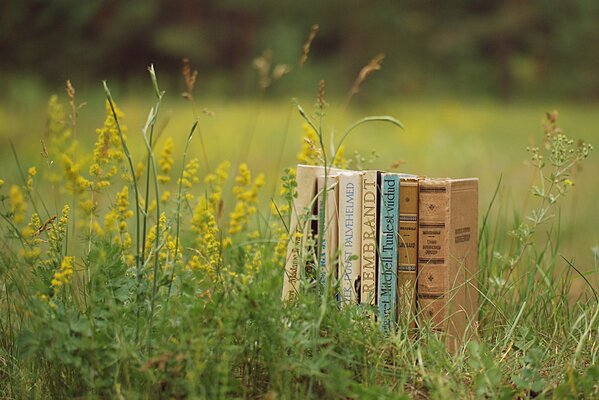 Books in nature. Aesthetics with meaning