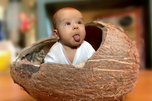 The kid shows his tongue peeking out of a coconut shell