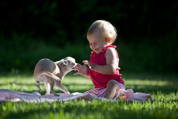 A small child with a dog on the grass