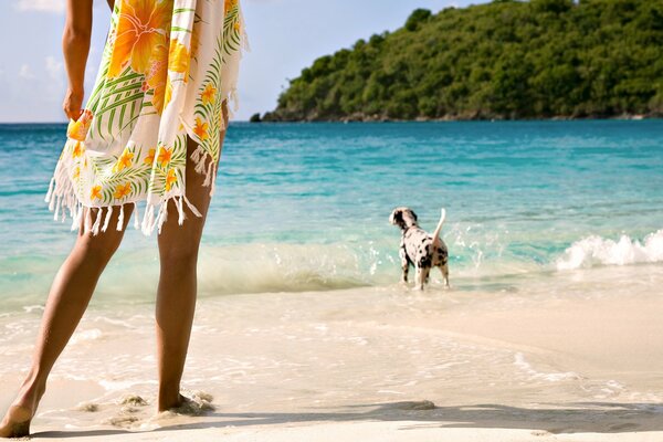 Promenade sur le bord de mer avec un chien